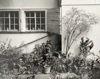Matthew Finn et al., Pictures From The Garden