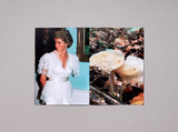 Lulu Williams, Princess Diana As Mushrooms Volume II