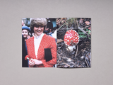 Lulu Williams, Princess Diana As Mushrooms Volume I