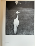 Bill Brandt, A Retrospective Exhibition