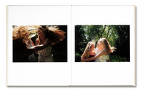 Sofia Coppola, The Virgin Suicides