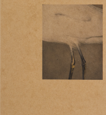 Daniel Shea, 43-35 10th Street