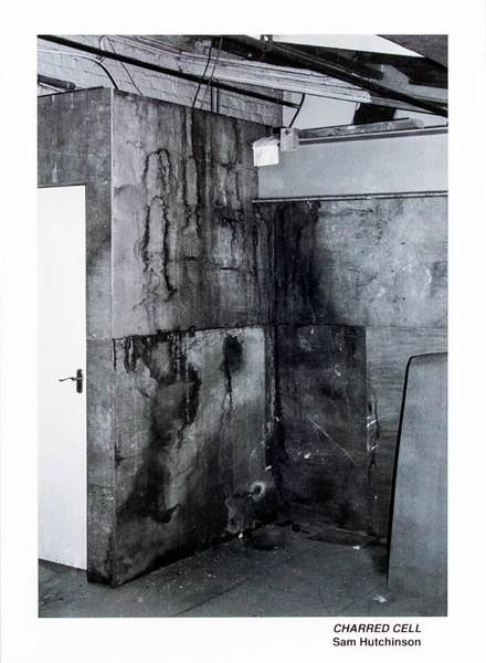 Sam Hutchinson, Charred Cell