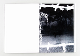 Sam Hutchinson, Charred Cell