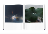 Rinko Kawauchi 川内 倫子, Illuminance