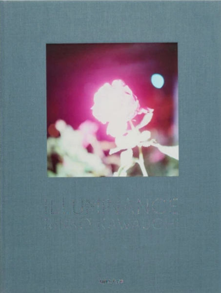 Rinko Kawauchi 川内 倫子, Illuminance