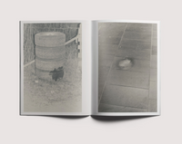 Ola Rindal, Stains & Ashes