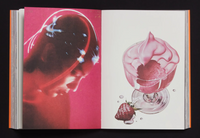 RADICAL MEDIA ARCHIVE VOL.01: An Anthology Of Counterculture and Political Graphic Design, Ramdane Touhami and Émile Shahidi