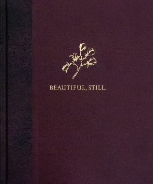 Colby Deal, Beautiful, Still.