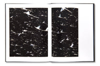Guillaume Simoneau, Experimental Lake