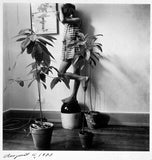 Melissa Shook, Daily Self-Portraits 1972–1973