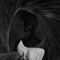 Zanele Muholi, Somnyama Ngonyama, Hail the Dark Lioness, Volume II