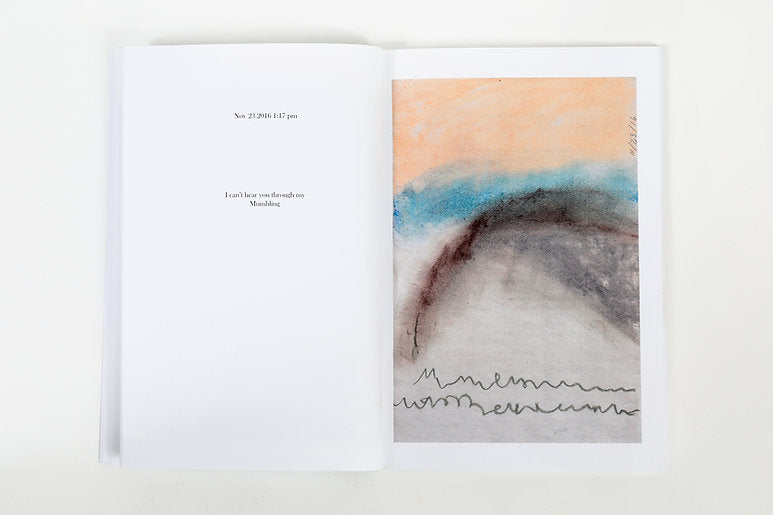 Bennet Schlesinger, Collected poems (2014-2019) illustrated by Aidan K ...