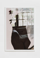Lewis Ronald, Window, rose, 2022