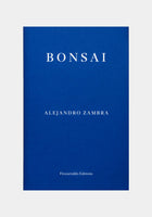 Alejandro Zambra, Bonsai