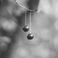 Jochen Lempert, Paare / Pairs